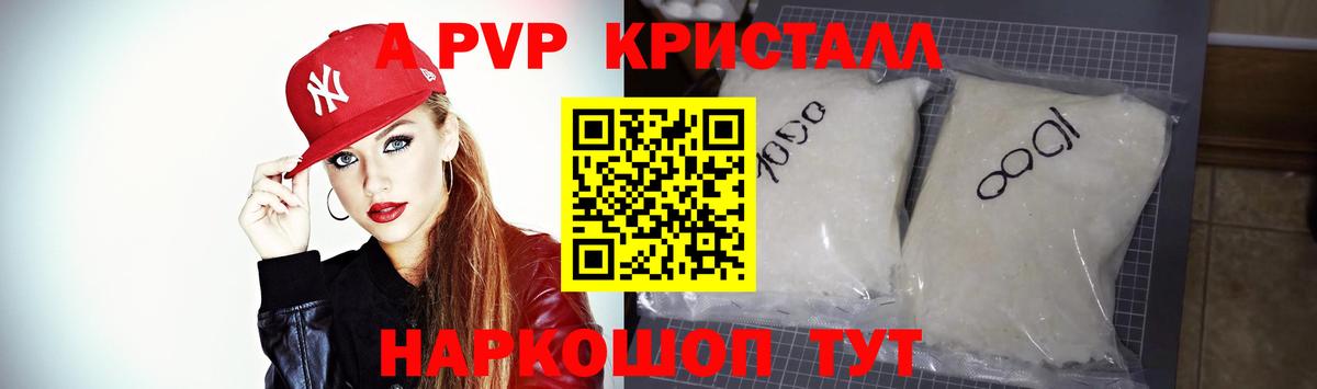 A PVP СК КРИС Светлоград