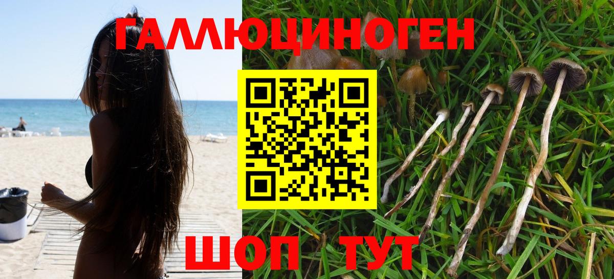 Псилоцибиновые грибы мицелий Светлоград