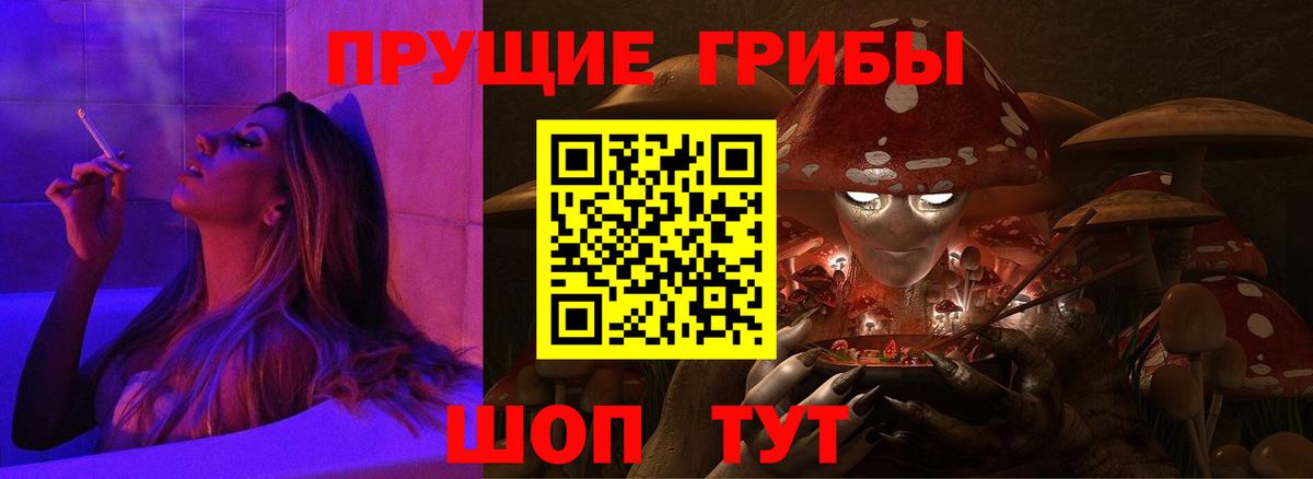 Галлюциногенные грибы Cubensis  Вход с VPN  Псилоцибиновые грибы Cubensis  Светлоград 